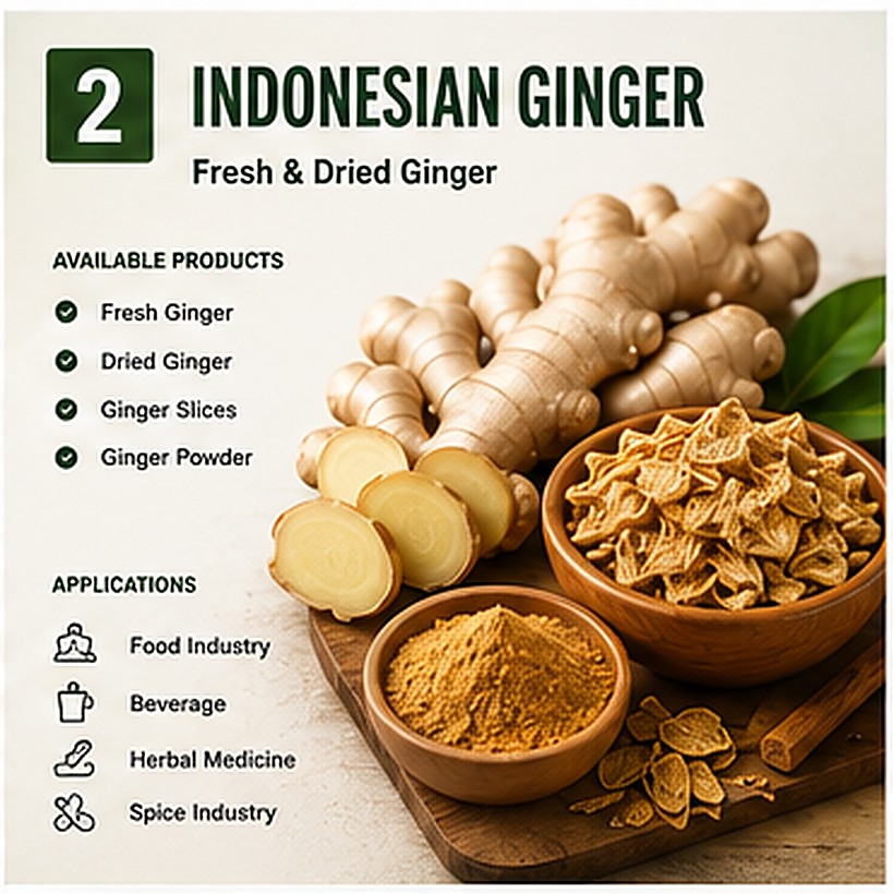 Ginger