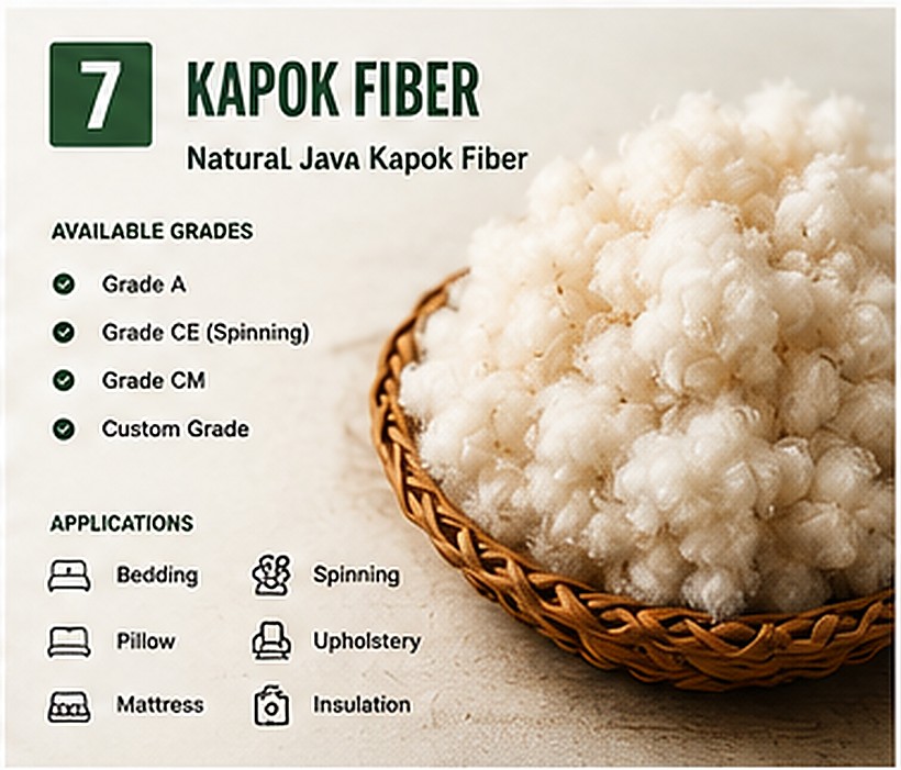 Kapok Fiber